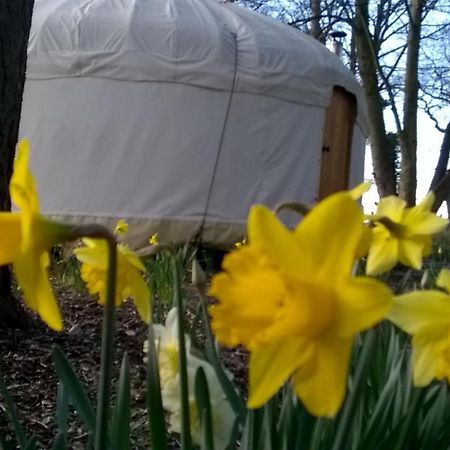 Gingerbread Cottage Yurts Dereham Esterno foto