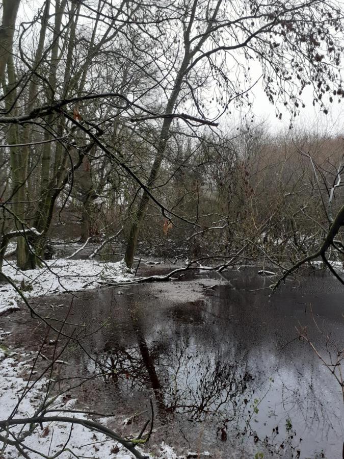 Gingerbread Cottage Yurts Dereham Esterno foto