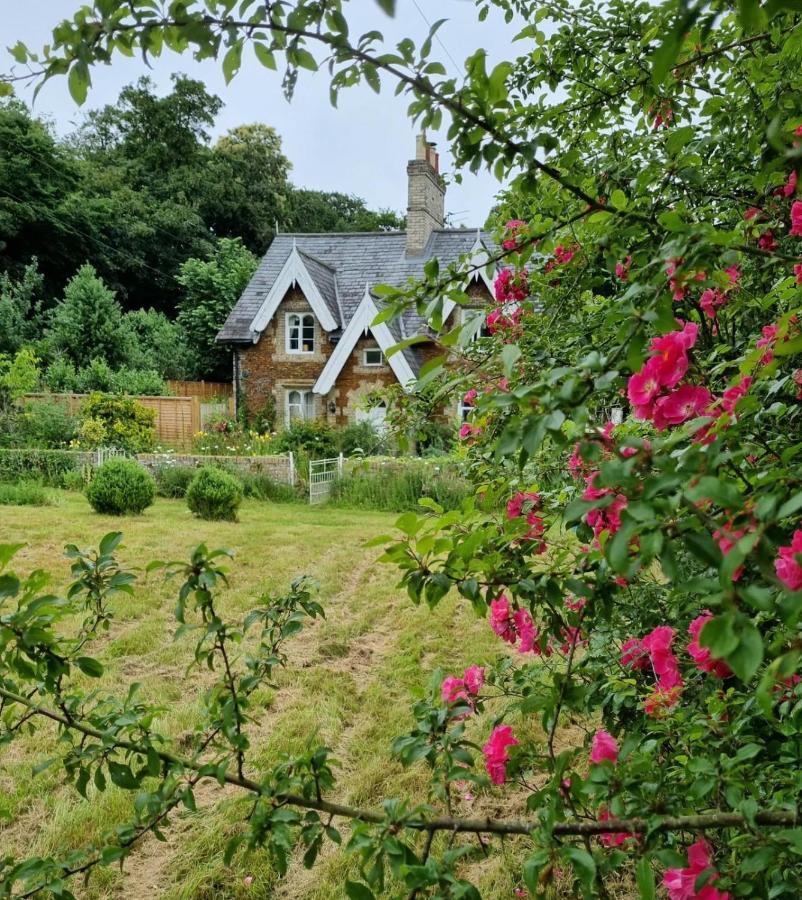Gingerbread Cottage Yurts Dereham Esterno foto