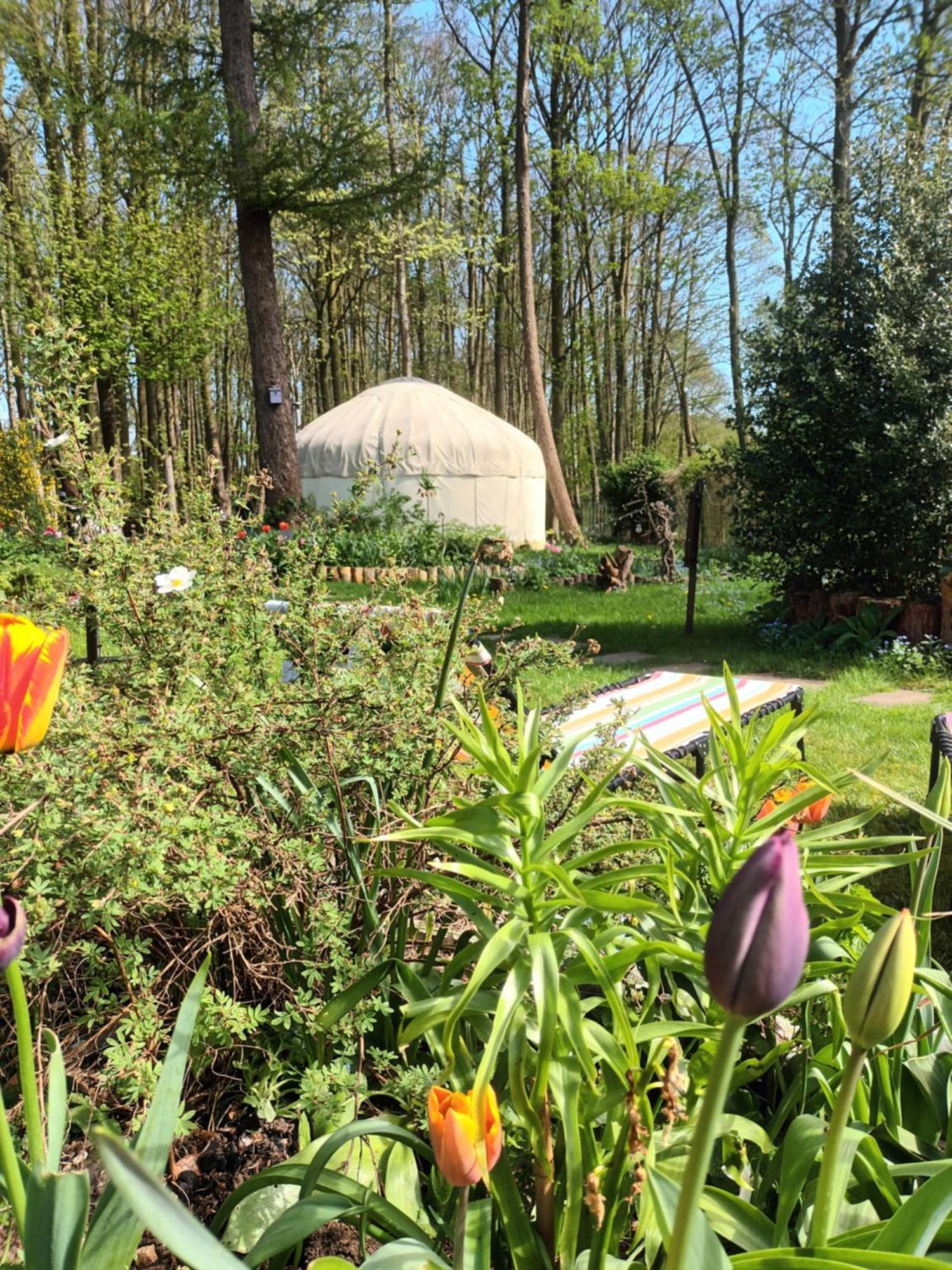 Gingerbread Cottage Yurts Dereham Esterno foto