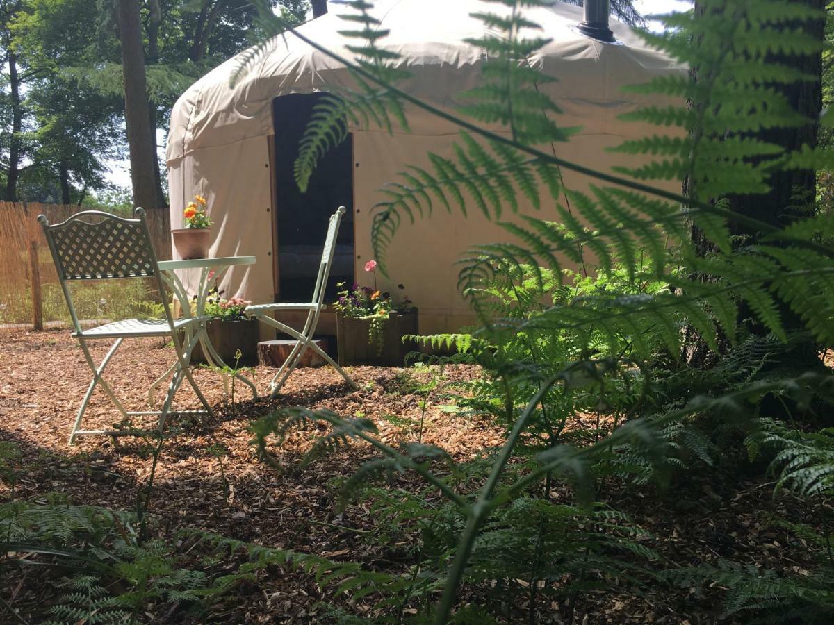 Gingerbread Cottage Yurts Dereham Esterno foto