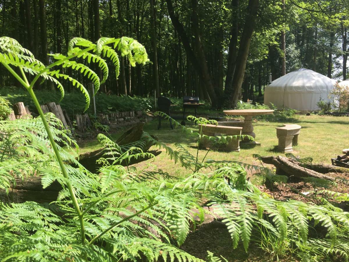 Gingerbread Cottage Yurts Dereham Esterno foto